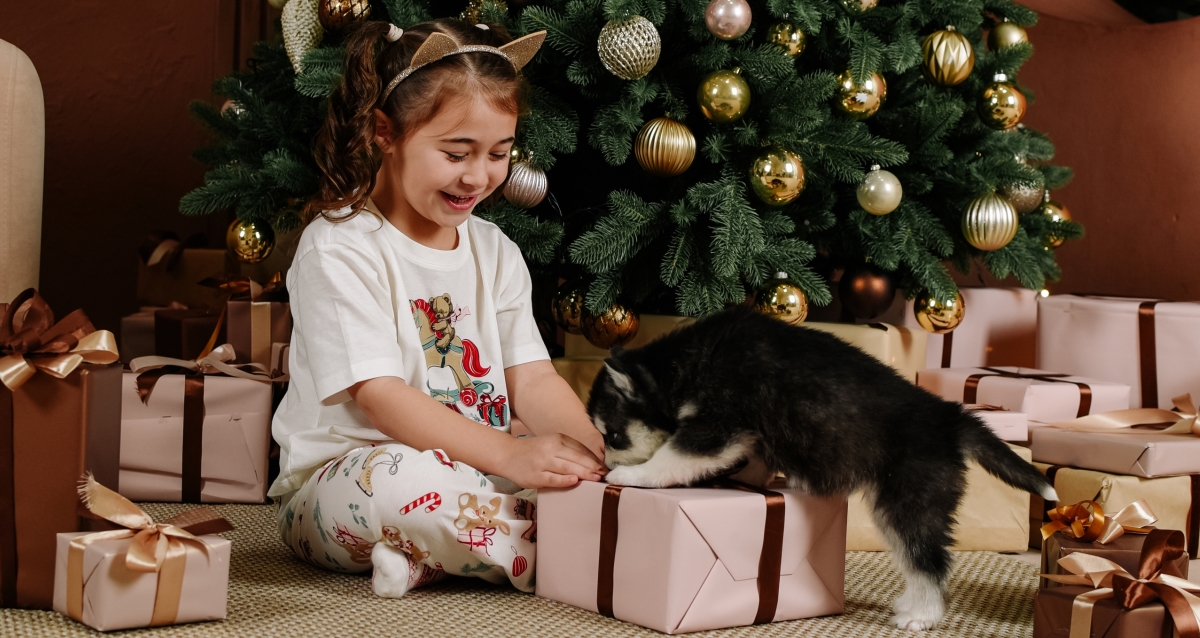 фотосессия с хаски