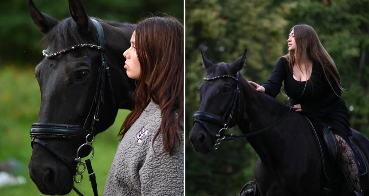 прогулки на лошадях