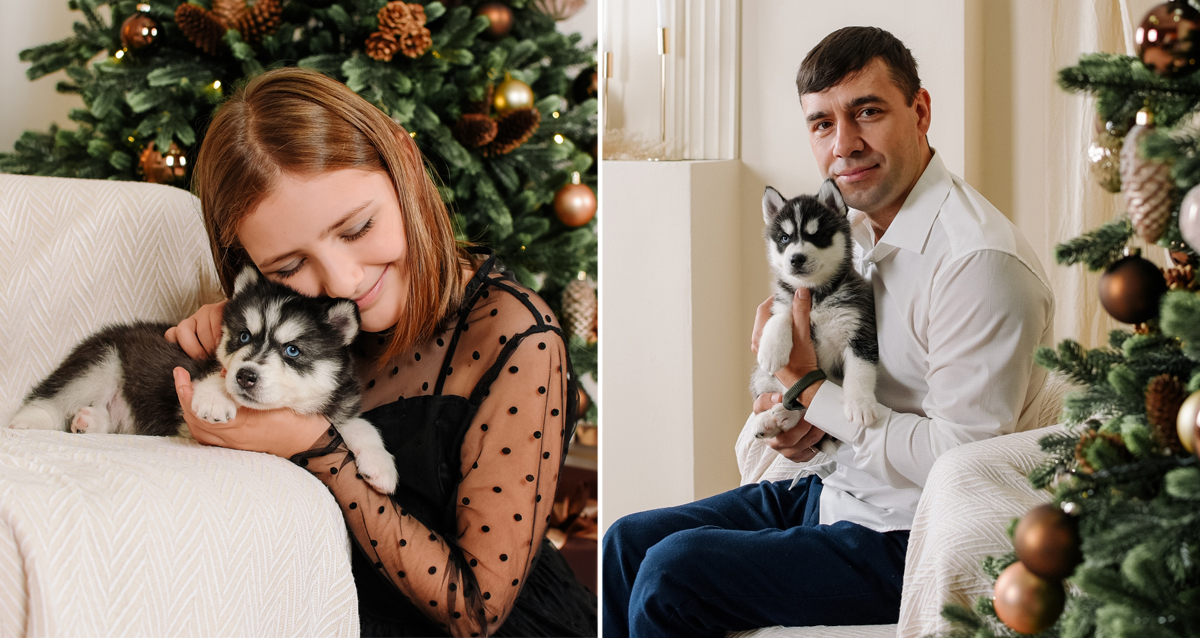 фотосессия с хаски