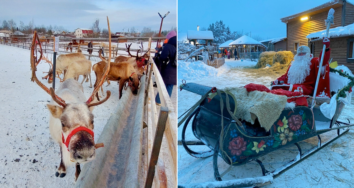 ранчо Авенсис