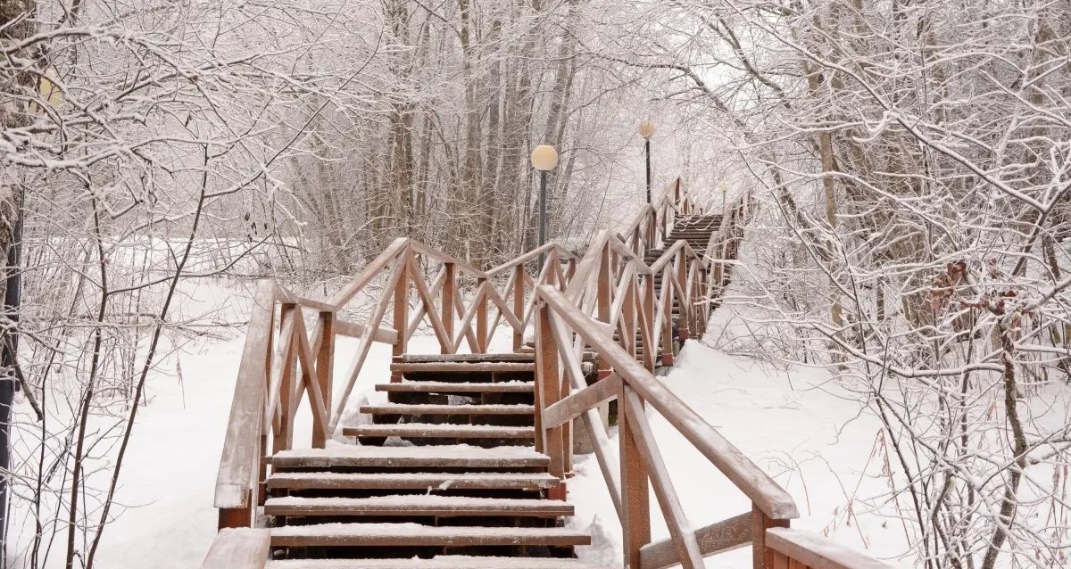 новогодние туры в Карелию