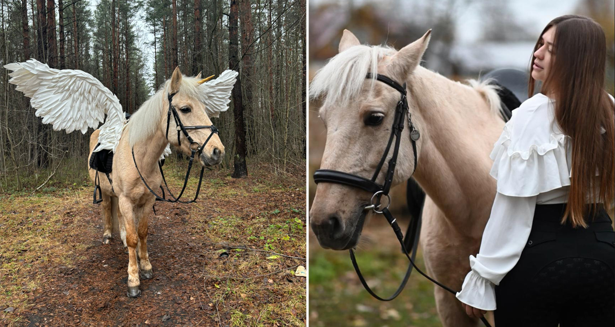 прогулки на лошадях