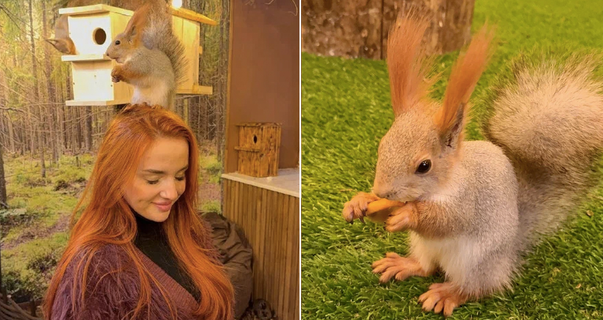 антикафе В Ёлках