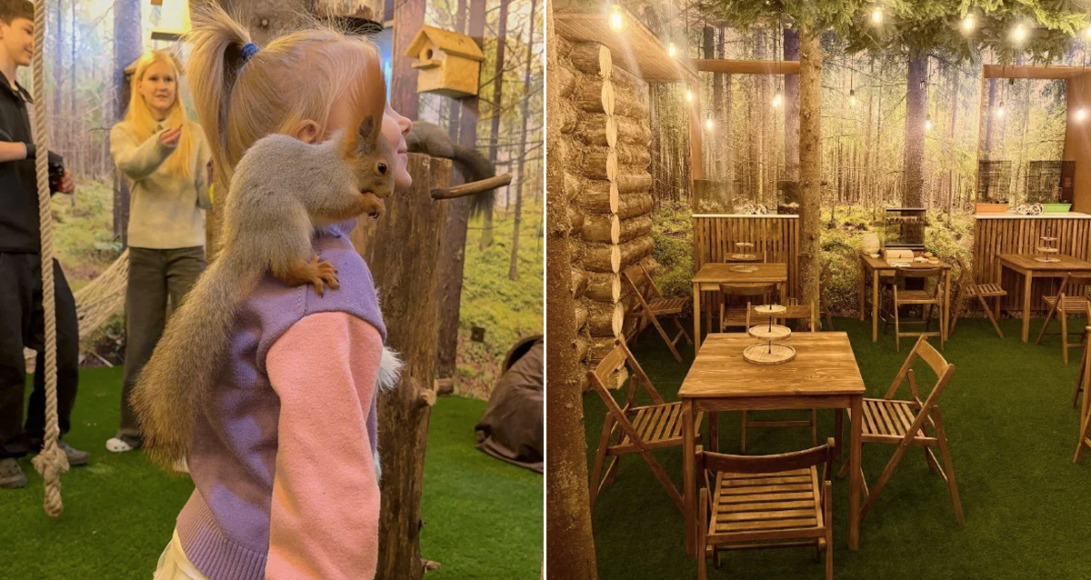 антикафе В Ёлках