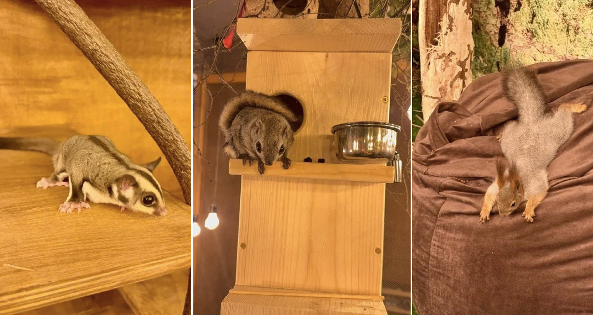 антикафе В Ёлках