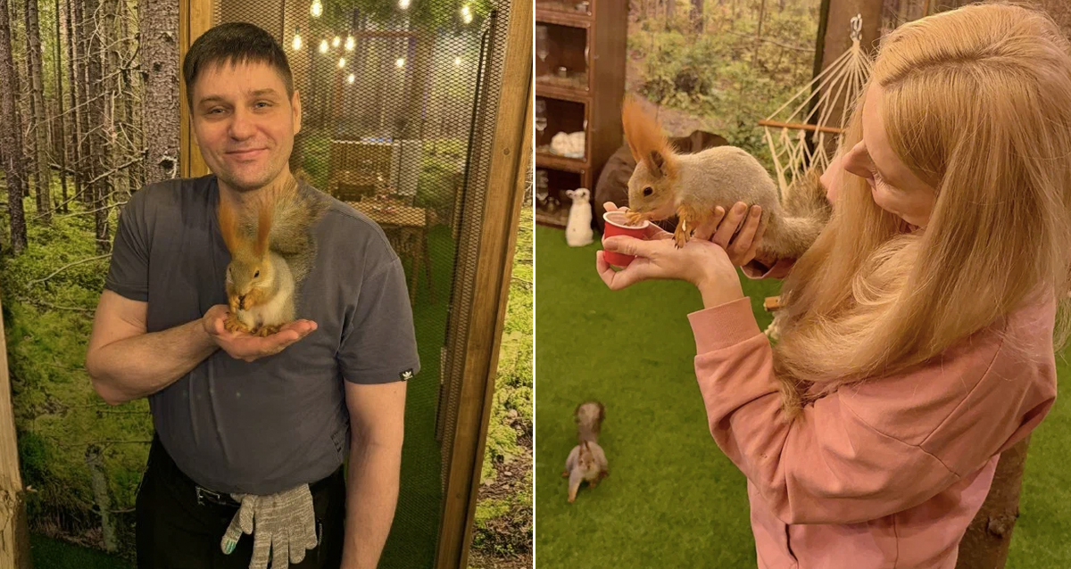 антикафе В Ёлках