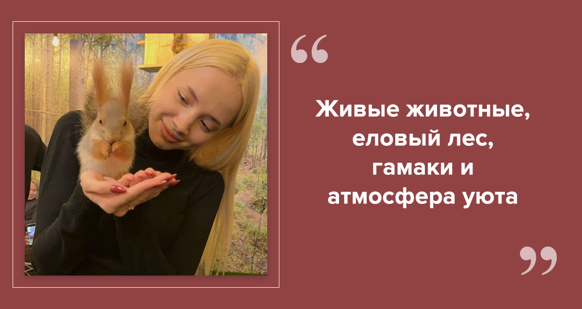 Антикафе В Ёлках в СПб