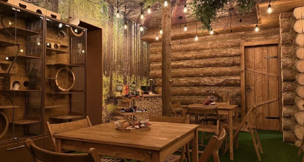 антикафе В Ёлках