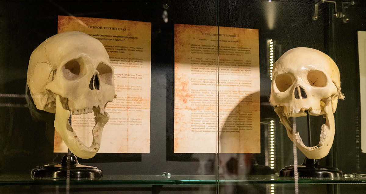 Музей аномалий тела