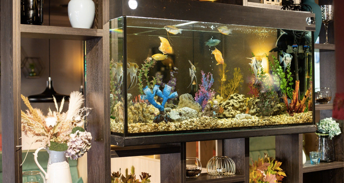 ресторане Grand Империал