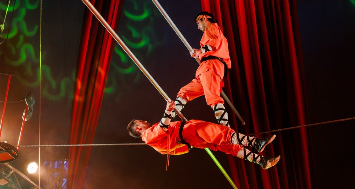 Шоу бенгальских тигров