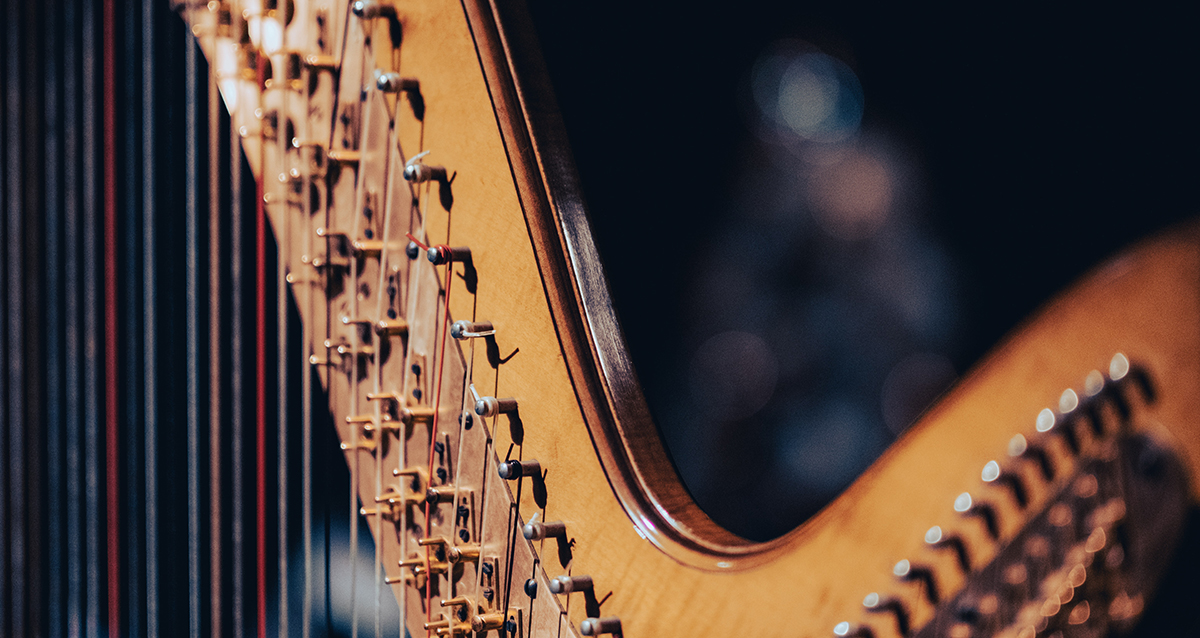 билеты на концерт