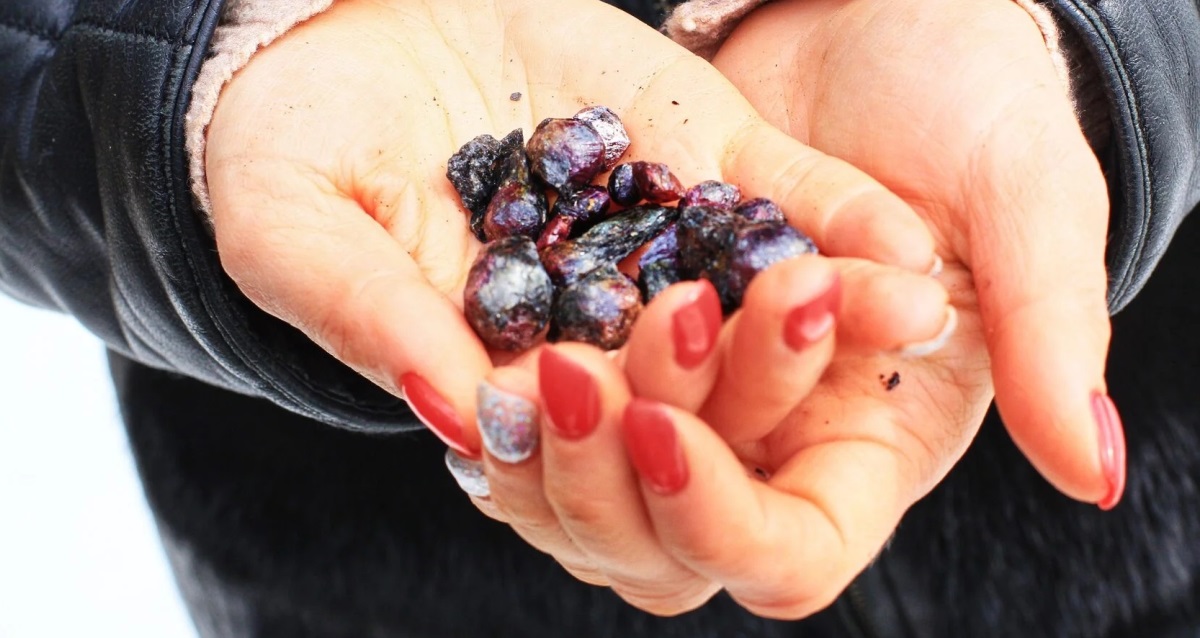 тур в Карелию