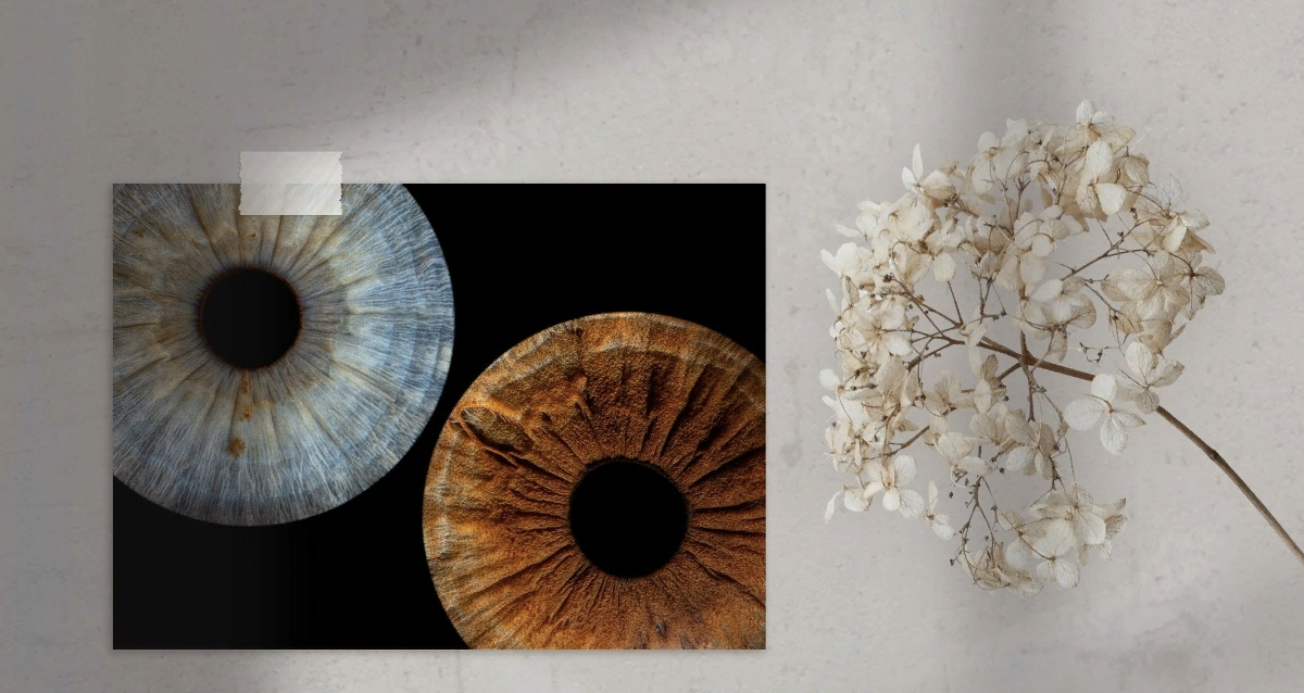 Компания Your Eyes