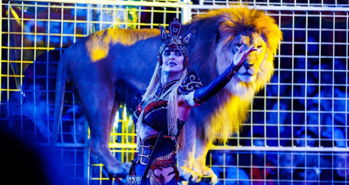 Шоу бенгальских тигров