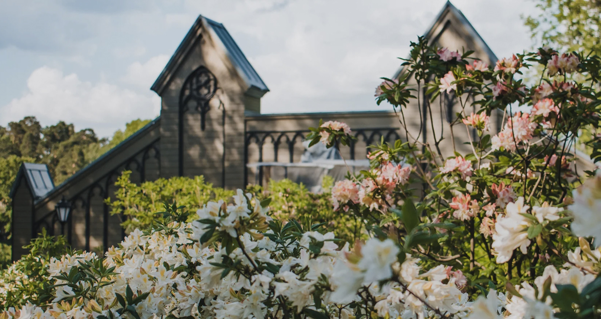 тур Тайны средневекового Выборга