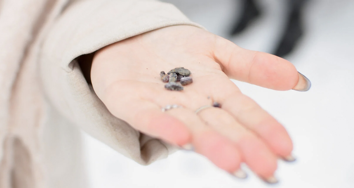 тур Карельское счастье — проживание на берегу Ладоги