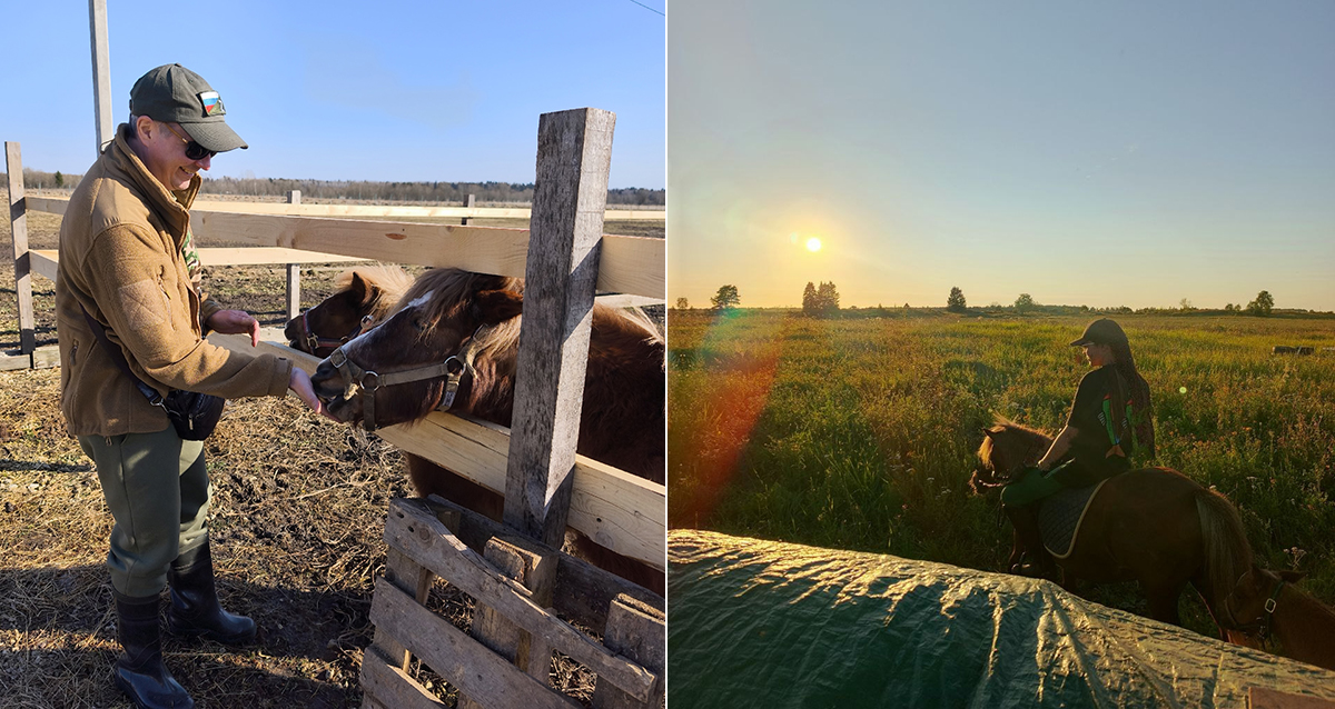 на конные прогулки