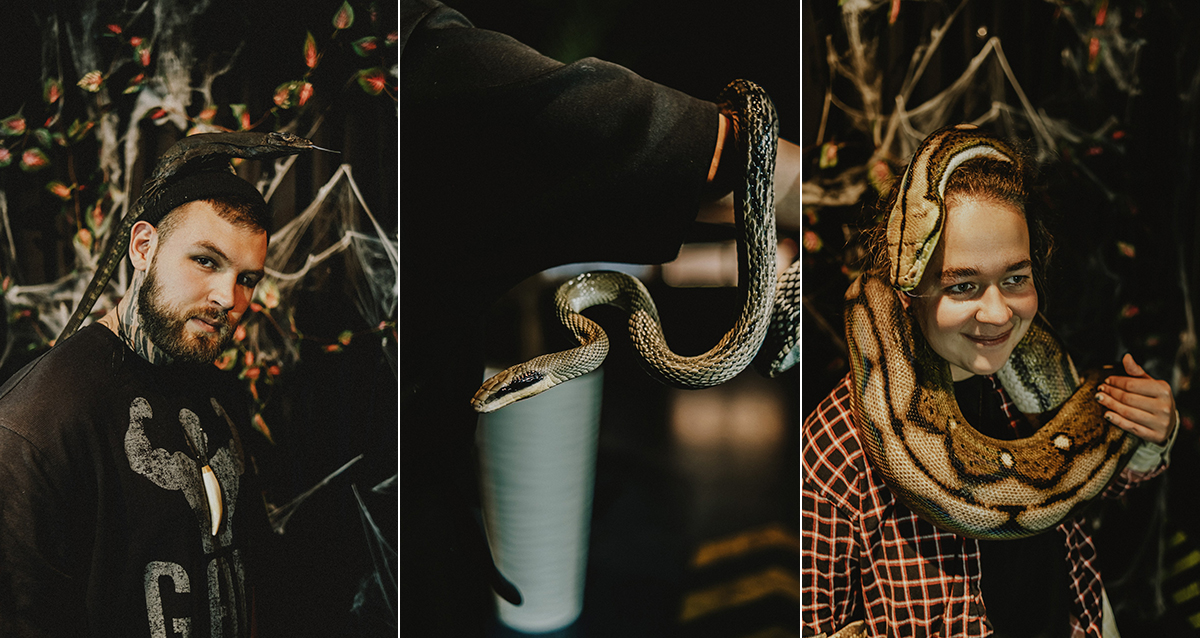 выставка экзотических животных