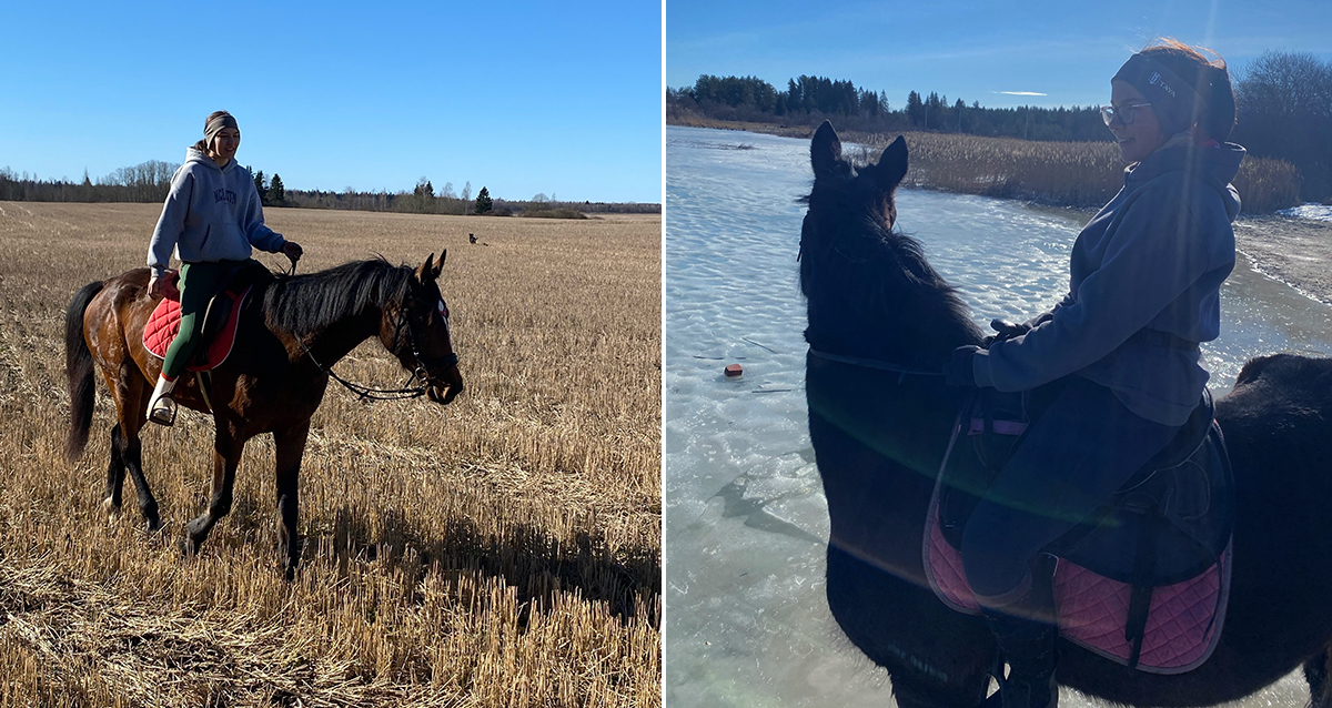 на конные прогулки