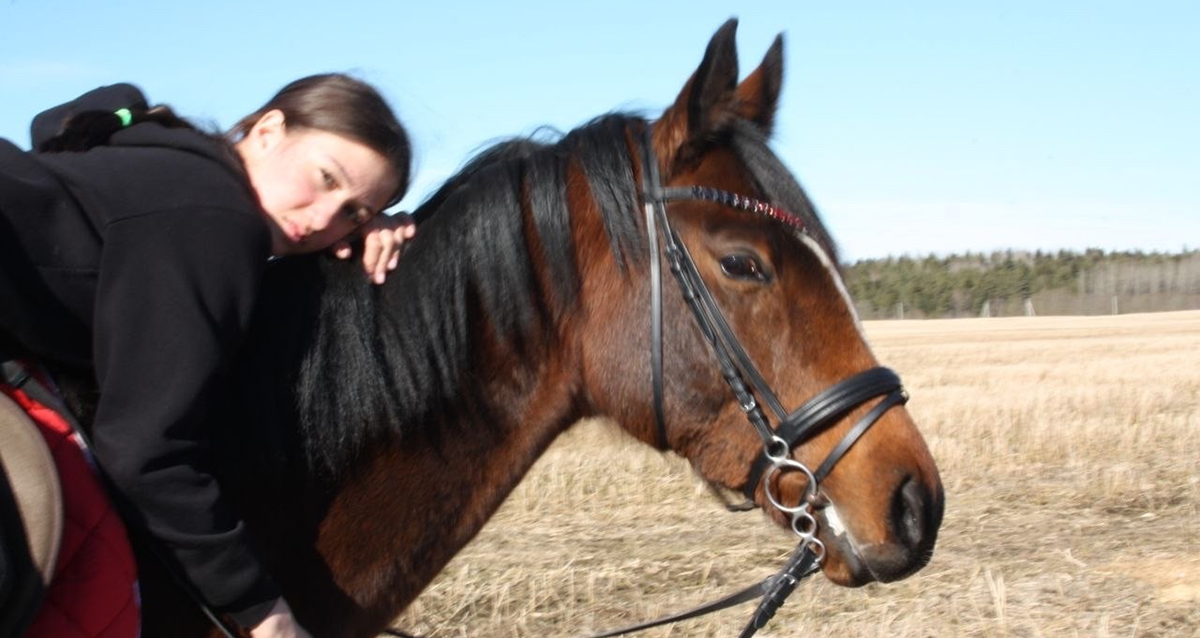 на конные прогулки