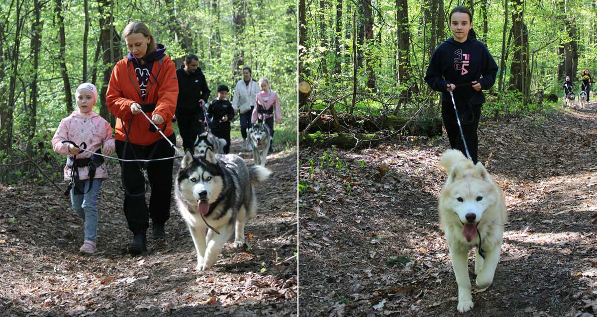 центр «Бореалис»