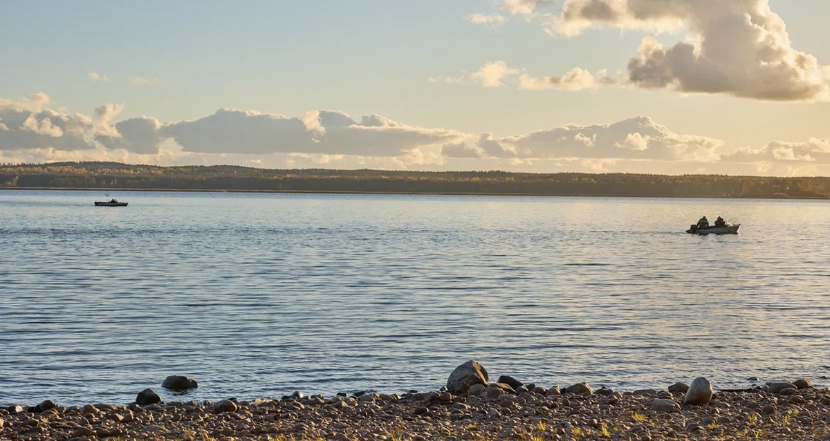 База отдыха Лосево-Парк