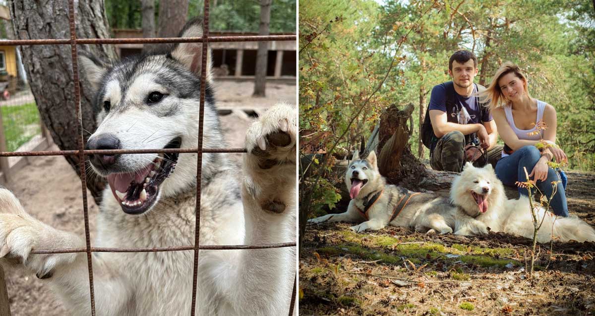 центр «Бореалис»