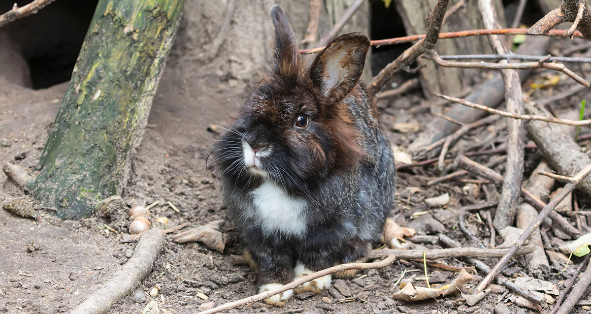 отдых в Карелии