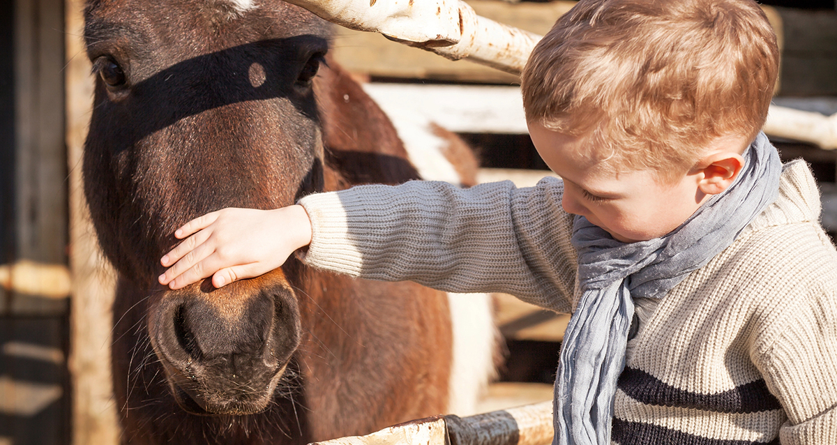 отдых в Карелии