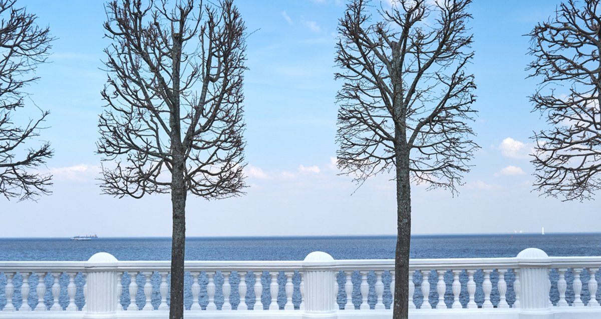 из Кронштадта в Петергоф