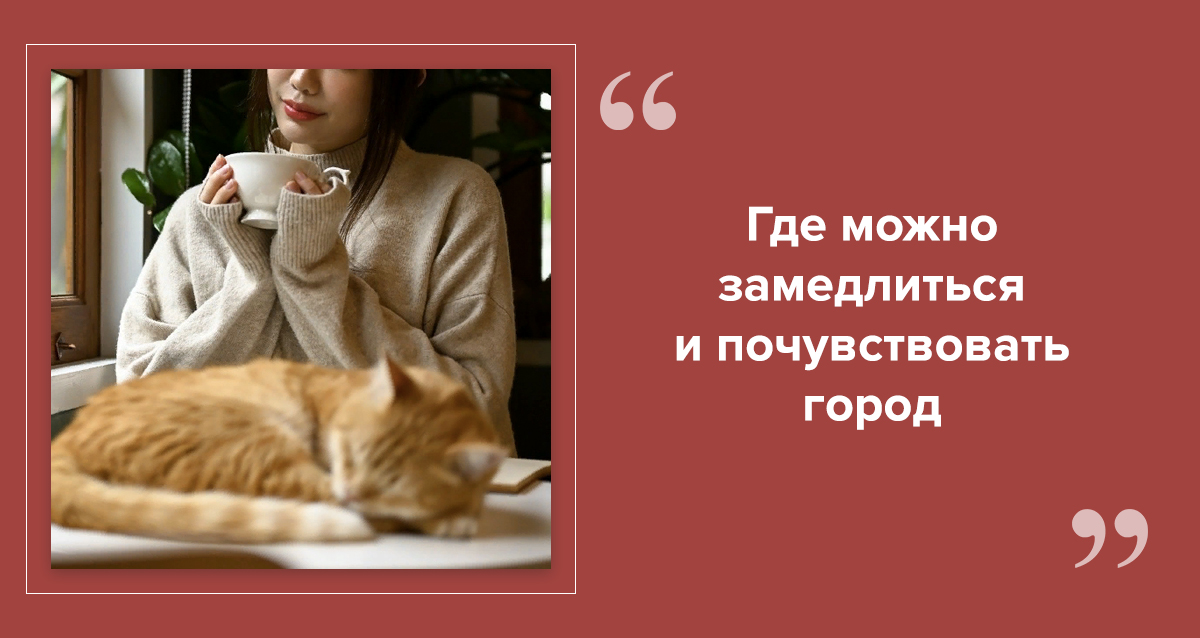 Необычные кафе Санкт-Петербурга