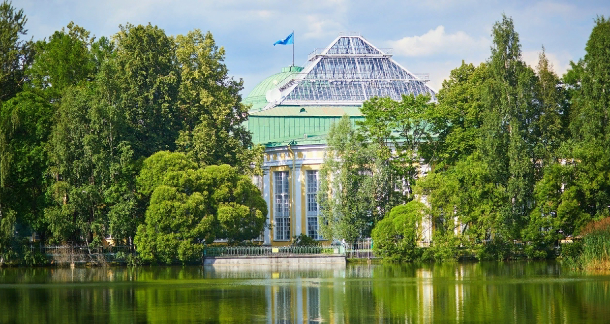 пикник в Санкт-Петербурге