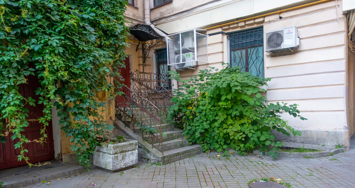 атмосферные дворы Петербурга