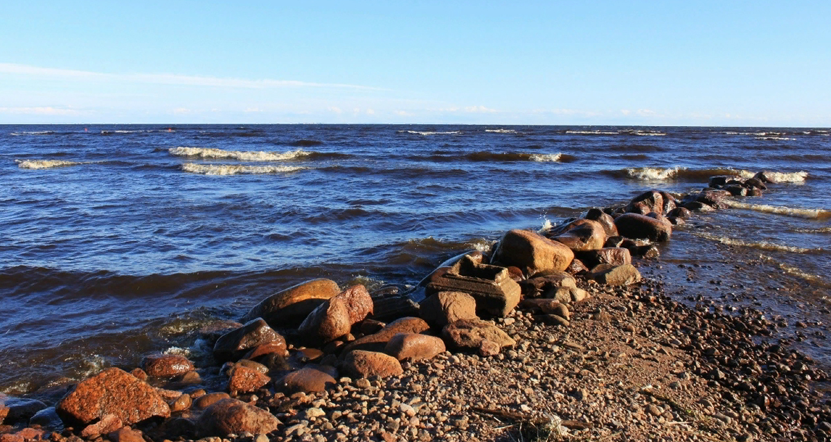 пикник в Санкт-Петербурге