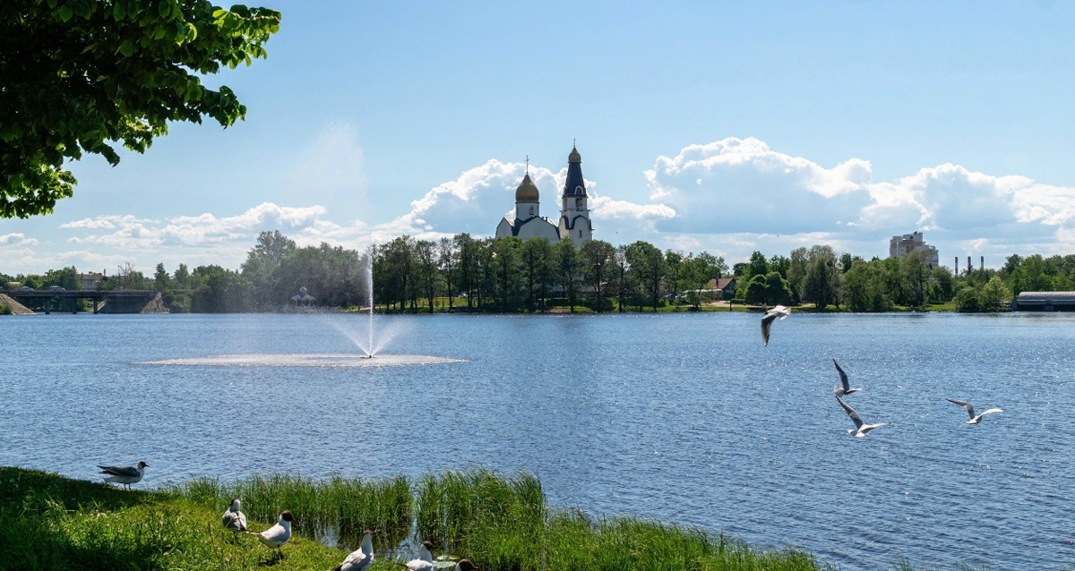 отдых за городом