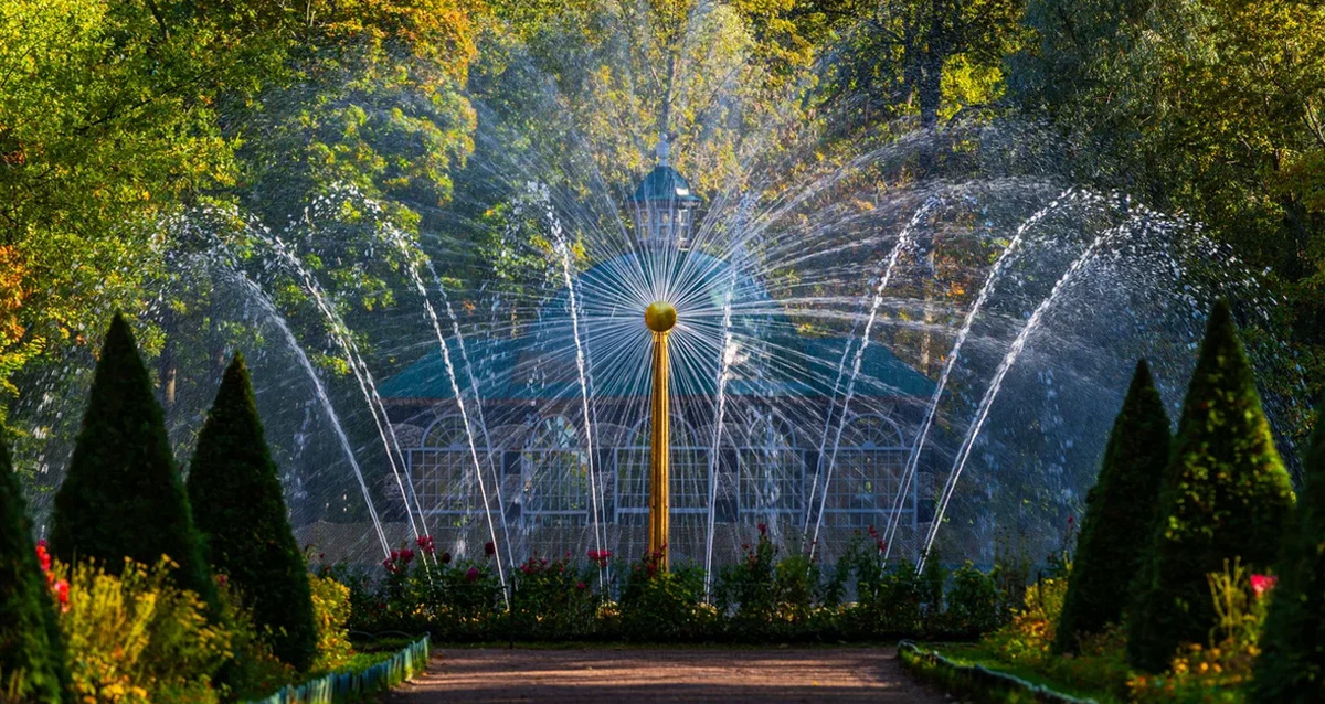 Летний сад