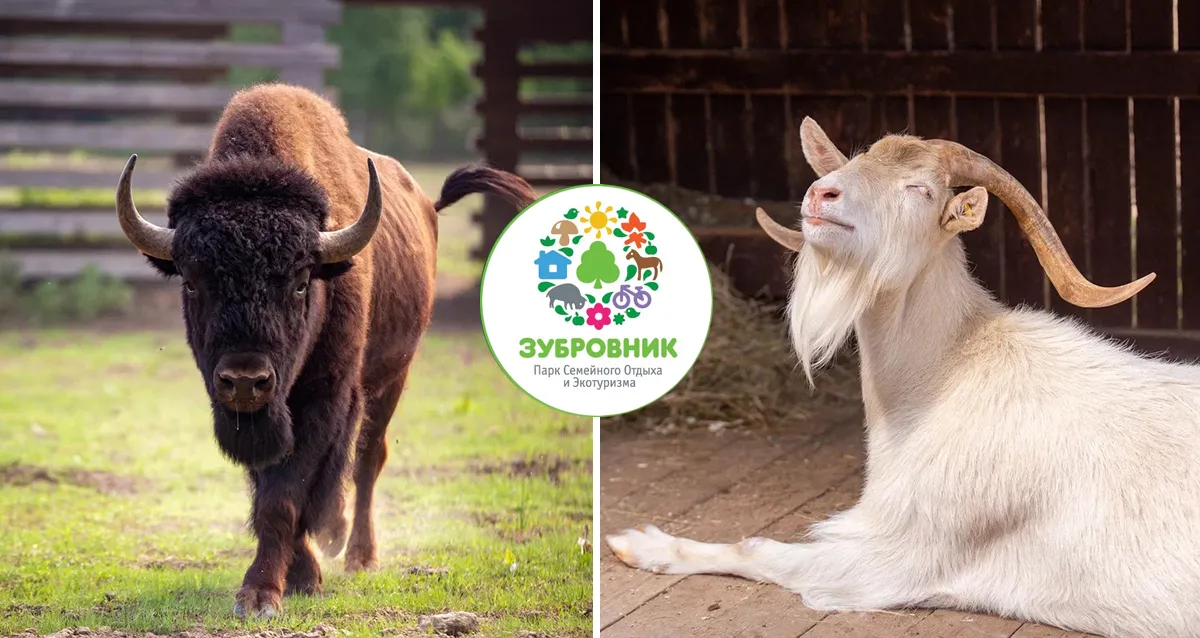 Скидки до 37% на посещение парка семейного отдыха «Зубровник»