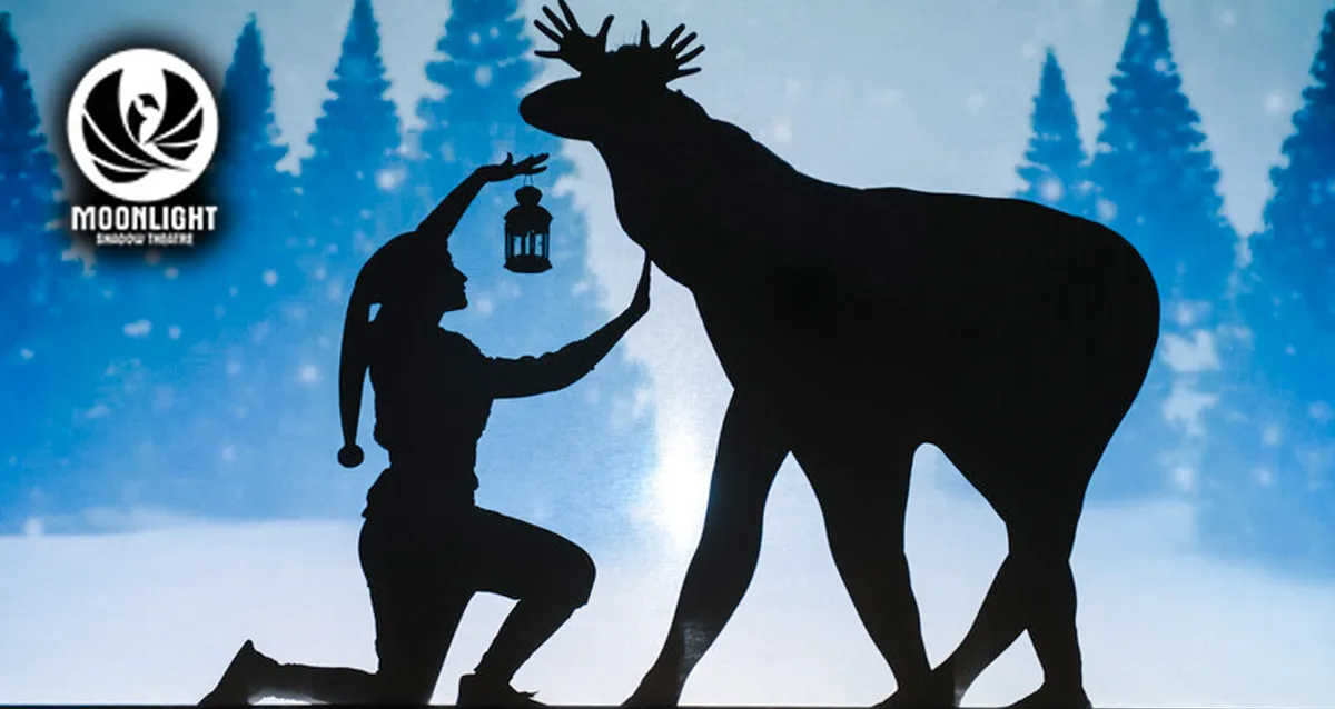 Скидка 25% на спектакль от театра теней Moonlight