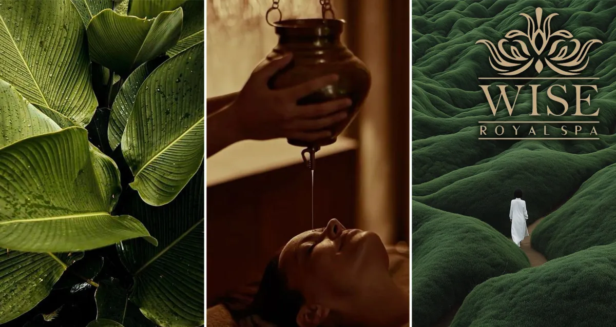 Скидки до 50% на программы в Wise Royal SPA на Маяковской