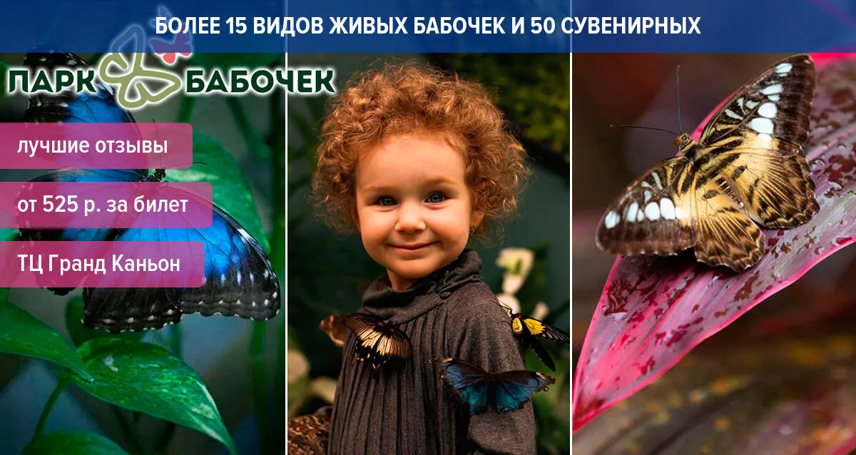 От 525 р. за посещение «Парка Бабочек» в ТЦ «Гранд Каньон»