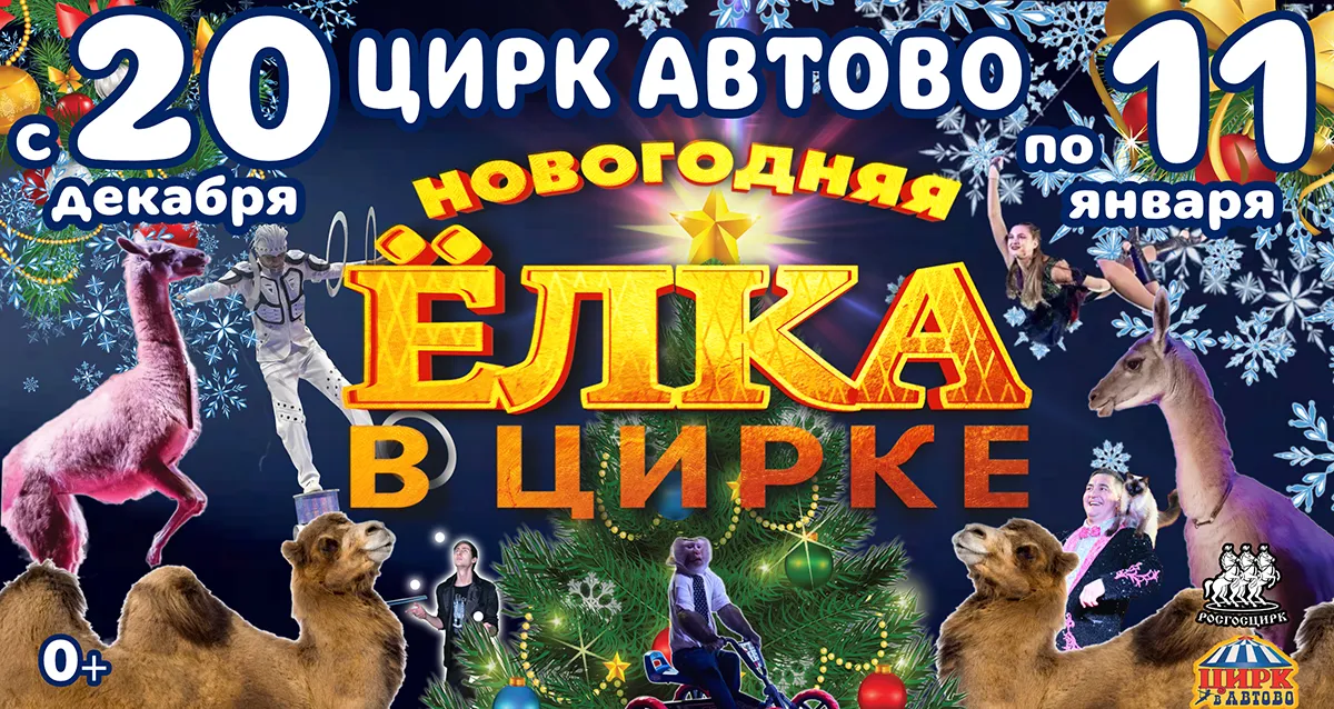 Скидки до 50% на билеты на новогоднюю елку в цирке «Автово»