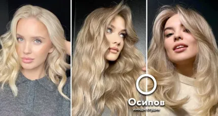 Скидка 50% на услуги для волос в «Имидж-студии Дениса Осипова» на Беговой