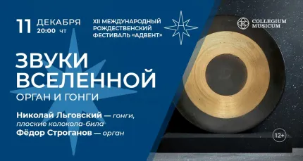 Скидка 30% на XII Рождественский фестиваль «Адвент». Звуки Вселенной: орган и гонги»