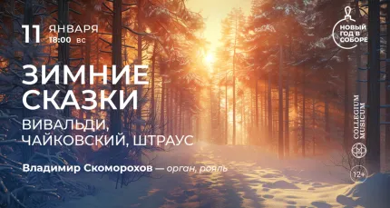 Скидка 30% на концерт «Зимние сказки: Вивальди, Чайковский, Штраус»