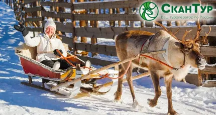 От 17550 р. за новогодние туры от туроператора «СканТур»