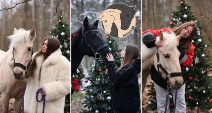 Скидки до 50% на прогулки на лошадях