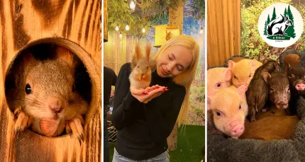 1000 р. за посещение антикафе «В Ёлках»