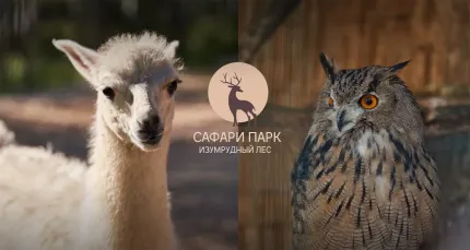 Скидка 30% на билеты в сафари-парк + экскурсия