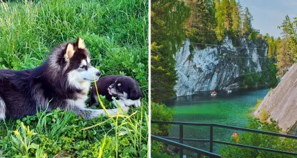 Скидка 40% на тур в Карелию «Рускеала, хаски, водопады»